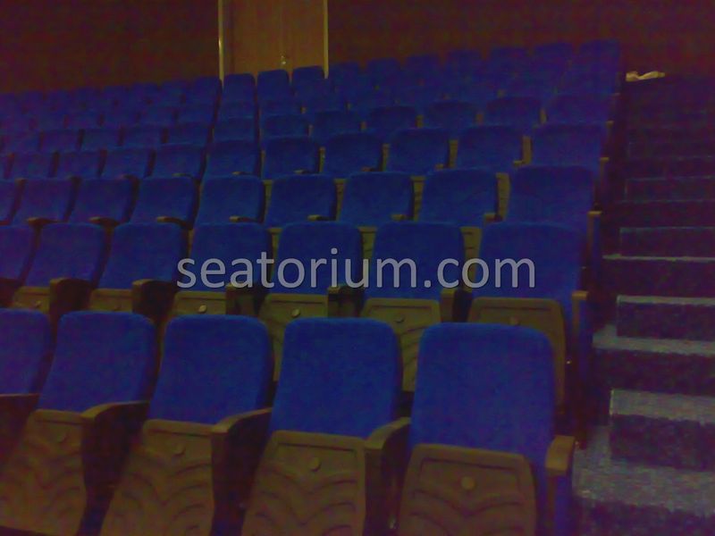 Ankara Gölbaşı University Auditorium Seating Installation - Seatorium™'s Auditorium