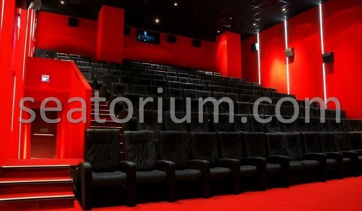 Arena Park AVM Movie Theater Chairs - Seatorium™'s Auditorium