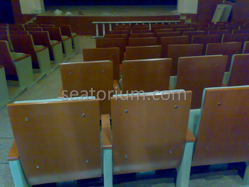 Balıkesir University Necati Bey Campus Auditorium Chairs - Seatorium™'s Auditorium