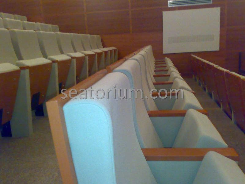 Balıkesir University Necati Bey Campus Auditorium Chairs - Seatorium™'s Auditorium