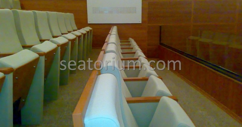 Balıkesir University Necati Bey Campus Auditorium Chairs - Seatorium™'s Auditorium