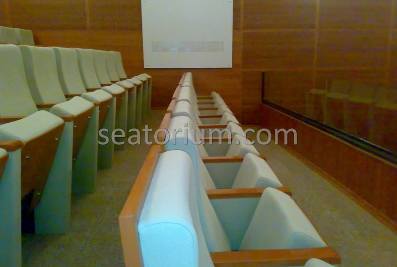 Balıkesir University Necati Bey Campus Auditorium Chairs - Seatorium™'s Auditorium