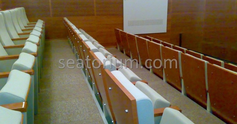 Balıkesir University Necati Bey Campus Auditorium Chairs - Seatorium™'s Auditorium
