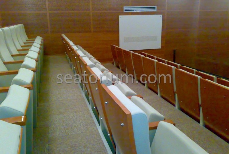 Balıkesir University Necati Bey Campus Auditorium Chairs - Seatorium™'s Auditorium