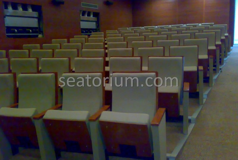 Balıkesir University Necati Bey Campus Auditorium Chairs - Seatorium™'s Auditorium