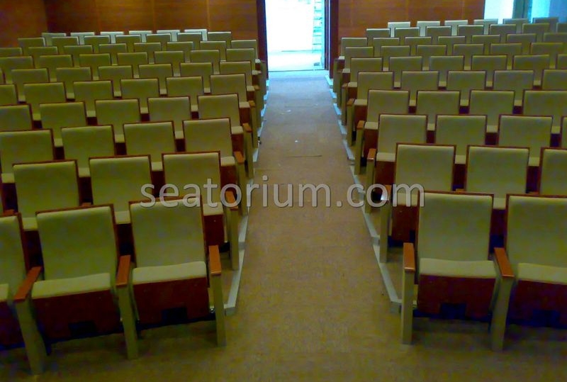 Balıkesir University Necati Bey Campus Auditorium Chairs - Seatorium™'s Auditorium