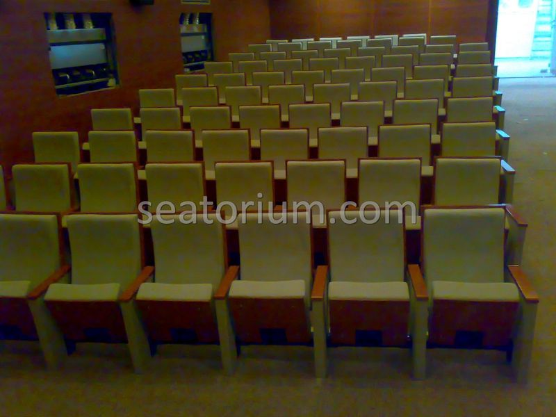 Balıkesir University Necati Bey Campus Auditorium Chairs - Seatorium™'s Auditorium