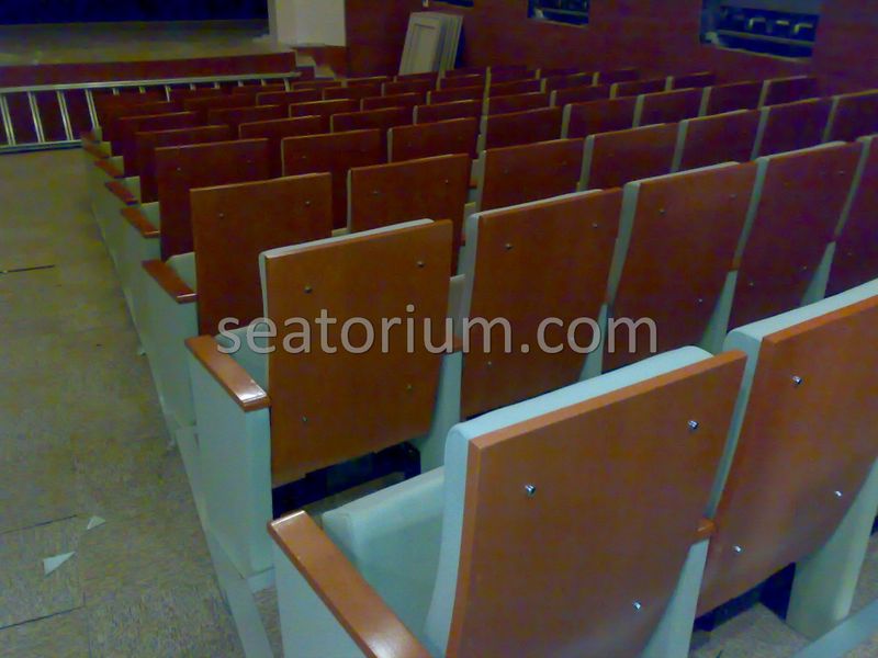 Balıkesir University Necati Bey Campus Auditorium Chairs - Seatorium™'s Auditorium