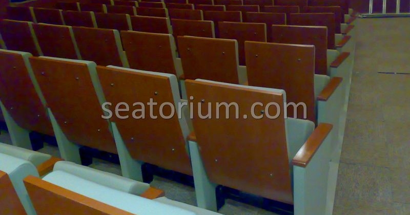 Balıkesir University Necati Bey Campus Auditorium Chairs - Seatorium™'s Auditorium