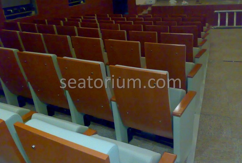 Balıkesir University Necati Bey Campus Auditorium Chairs - Seatorium™'s Auditorium