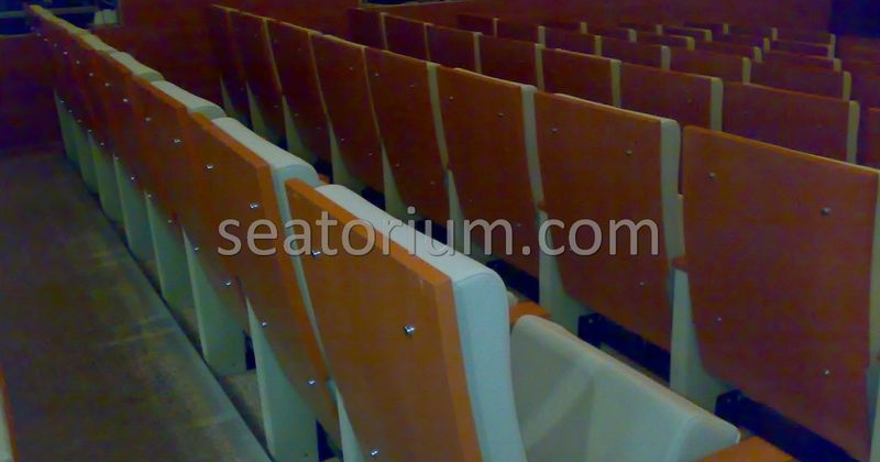 Balıkesir University Necati Bey Campus Auditorium Chairs - Seatorium™'s Auditorium