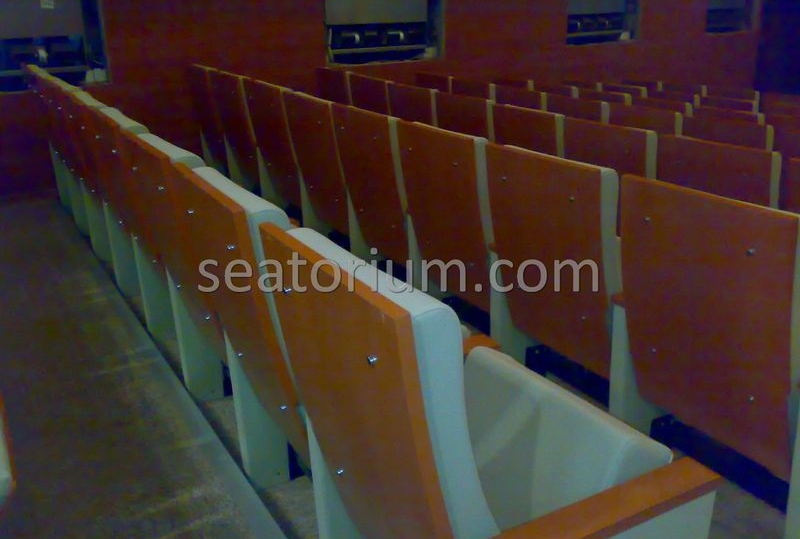 Balıkesir University Necati Bey Campus Auditorium Chairs - Seatorium™'s Auditorium