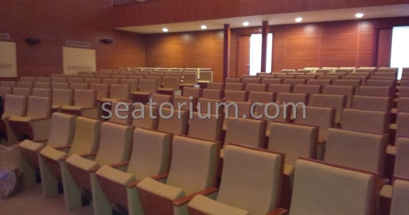 Balıkesir University Necati Bey Campus Auditorium Chairs - Seatorium™'s Auditorium