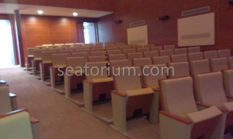 Balıkesir University Necati Bey Campus Auditorium Chairs - Seatorium™'s Auditorium