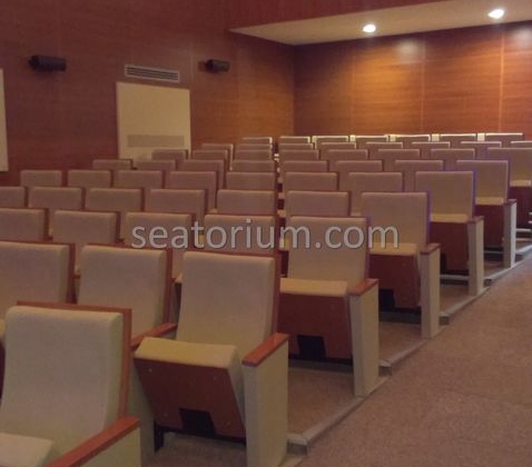 Balıkesir University Necati Bey Campus Auditorium Chairs - Seatorium™'s Auditorium