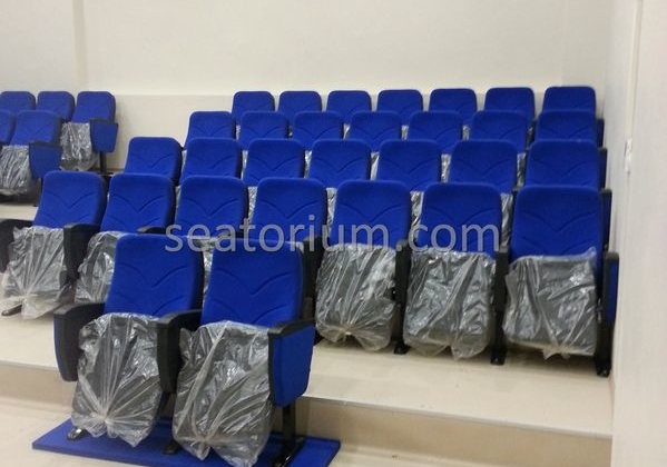 Bursa Bademli Necla Orhan Elementary School - Seatorium™'s Auditorium