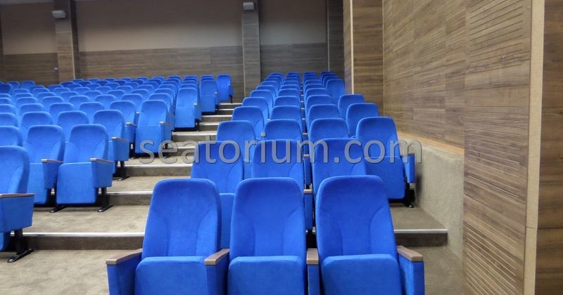 Bursa Deri OSB Auditorium Chairs Project - Seatorium™'s Auditorium
