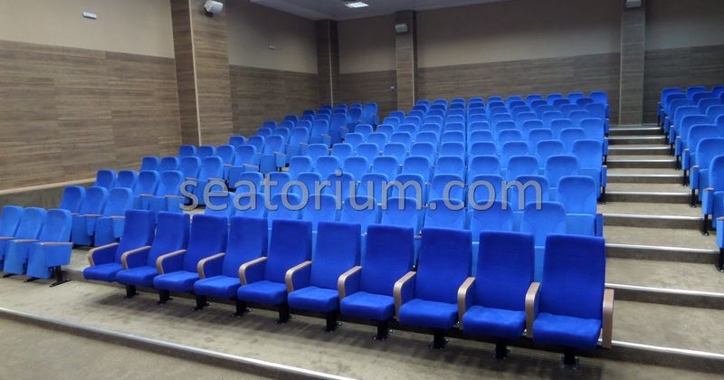Bursa Deri OSB Auditorium Chairs Project - Seatorium™'s Auditorium