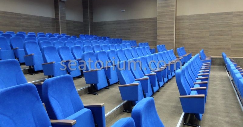 Bursa Deri OSB Auditorium Chairs Project - Seatorium™'s Auditorium