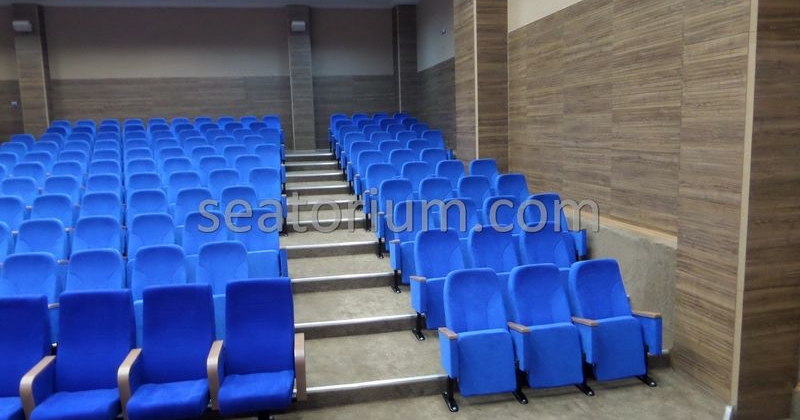 Bursa Deri OSB Auditorium Chairs Project - Seatorium™'s Auditorium