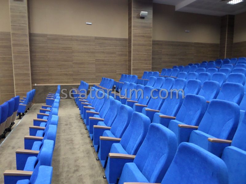 Bursa Deri OSB Auditorium Chairs Project - Seatorium™'s Auditorium