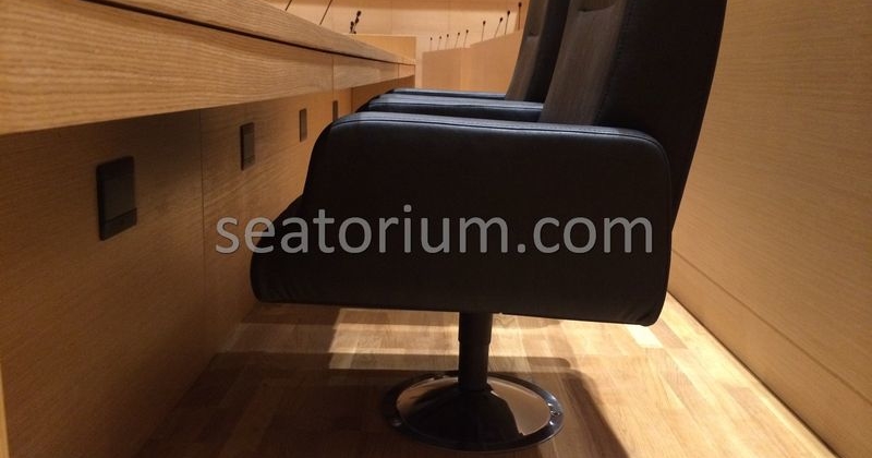 Bursa Nilüfer Municipality Parliement Building - Turn-Key Project - Seatorium™'s Auditorium