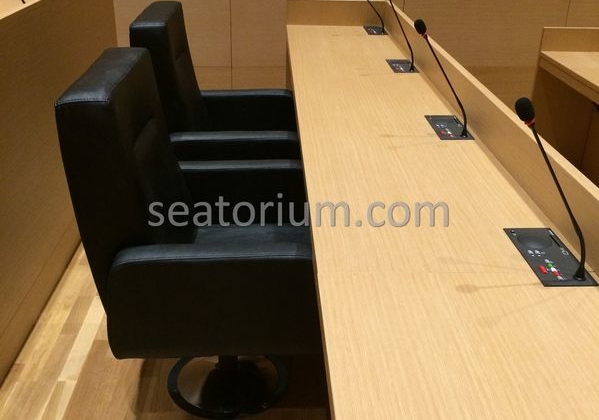Bursa Nilüfer Municipality Parliement Building - Turn-Key Project - Seatorium™'s Auditorium