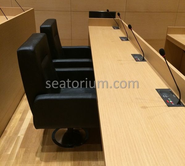 Bursa Nilüfer Municipality Parliement Building - Turn-Key Project - Seatorium™'s Auditorium