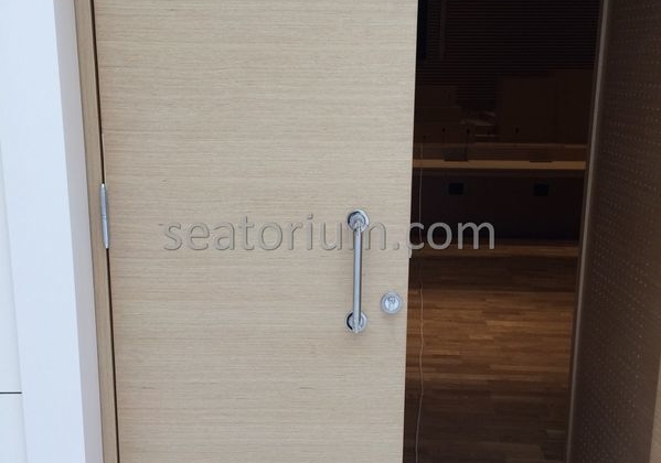 Bursa Nilüfer Municipality Parliement Building - Turn-Key Project - Seatorium™'s Auditorium