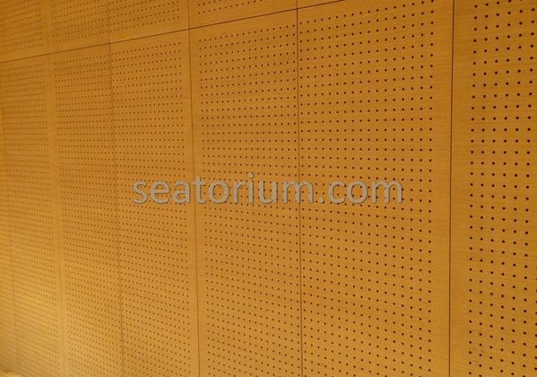 Bursa Nilüfer Municipality Parliement Building - Turn-Key Project - Seatorium™'s Auditorium