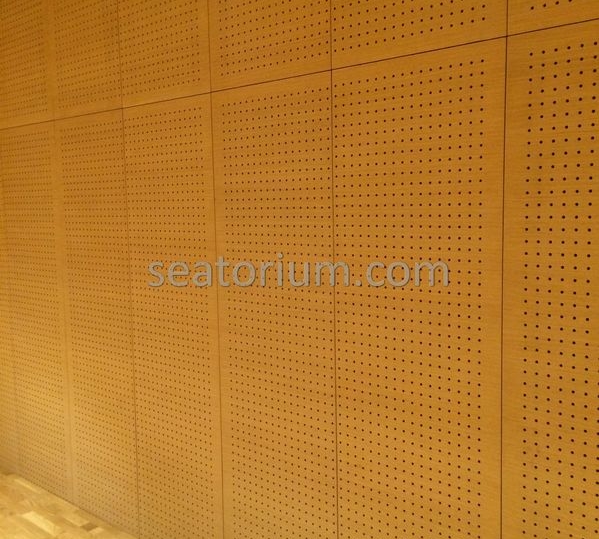 Bursa Nilüfer Municipality Parliement Building - Turn-Key Project - Seatorium™'s Auditorium