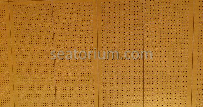 Bursa Nilüfer Municipality Parliement Building - Turn-Key Project - Seatorium™'s Auditorium