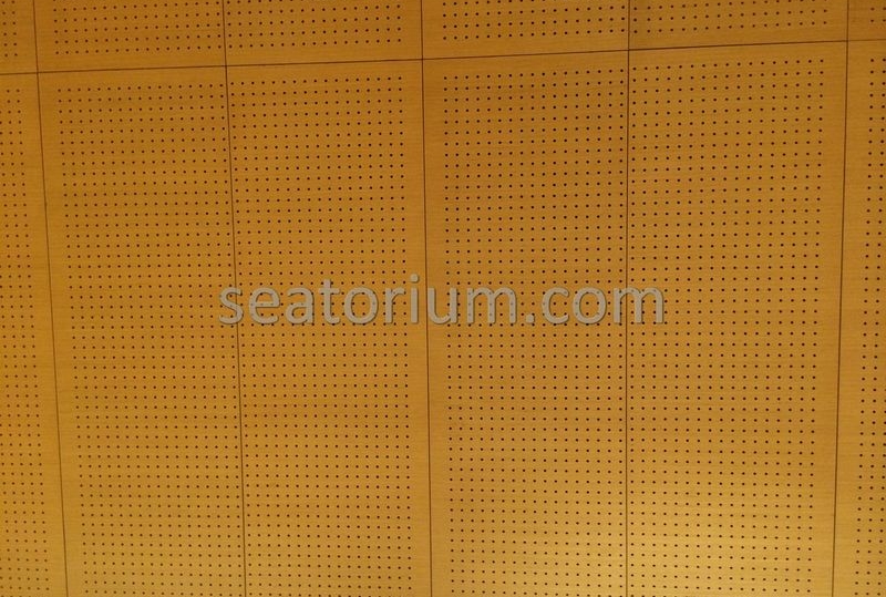 Bursa Nilüfer Municipality Parliement Building - Turn-Key Project - Seatorium™'s Auditorium