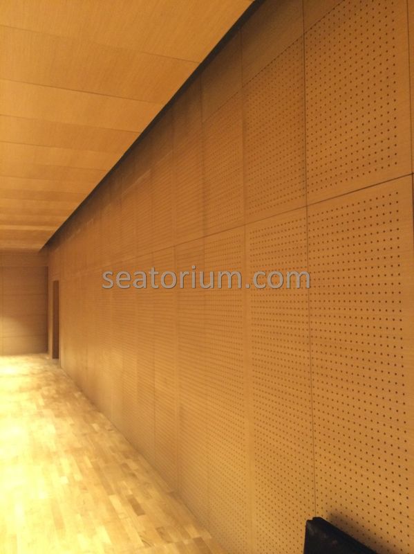 Bursa Nilüfer Municipality Parliement Building - Turn-Key Project - Seatorium™'s Auditorium