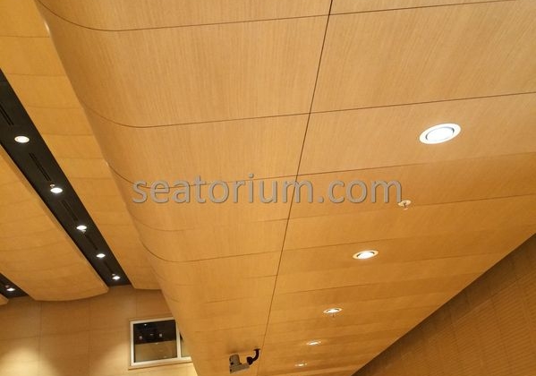 Bursa Nilüfer Municipality Parliement Building - Turn-Key Project - Seatorium™'s Auditorium