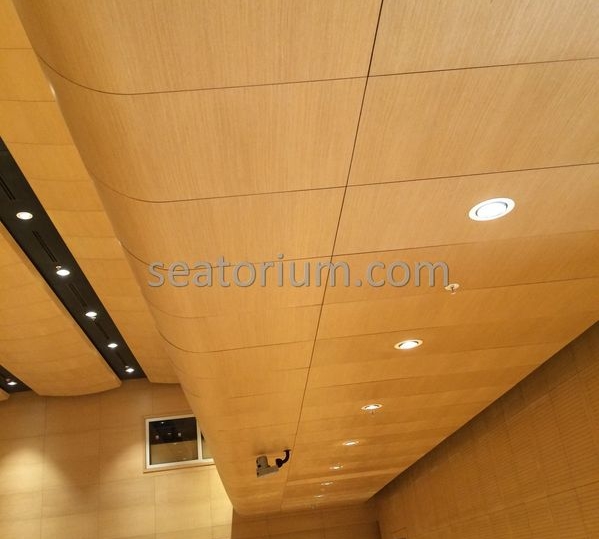 Bursa Nilüfer Municipality Parliement Building - Turn-Key Project - Seatorium™'s Auditorium