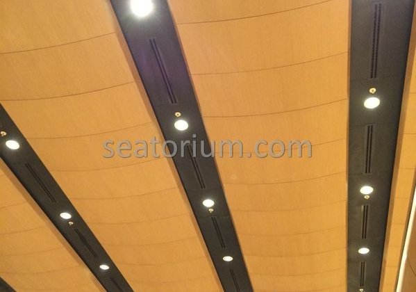 Bursa Nilüfer Municipality Parliement Building - Turn-Key Project - Seatorium™'s Auditorium