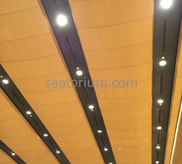 Bursa Nilüfer Municipality Parliement Building - Turn-Key Project - Seatorium™'s Auditorium