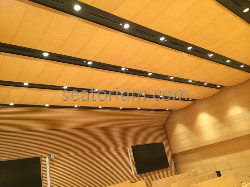 Bursa Nilüfer Municipality Parliement Building - Turn-Key Project - Seatorium™'s Auditorium