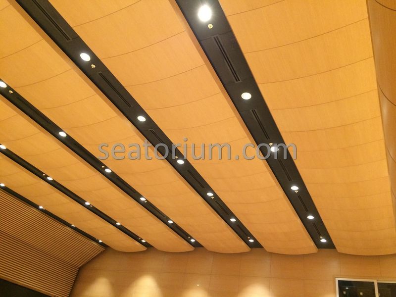 Bursa Nilüfer Municipality Parliement Building - Turn-Key Project - Seatorium™'s Auditorium