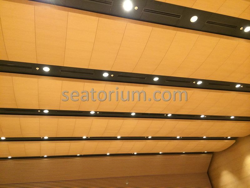 Bursa Nilüfer Municipality Parliement Building - Turn-Key Project - Seatorium™'s Auditorium