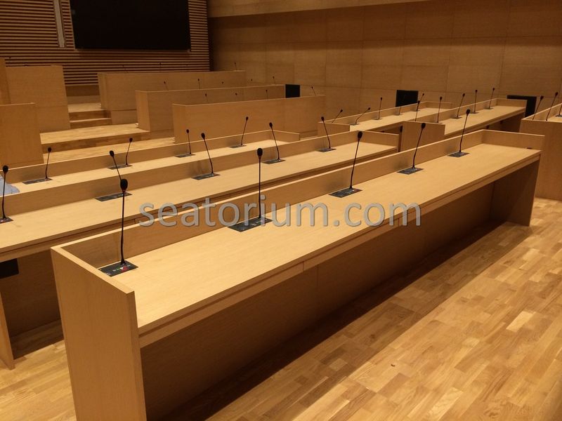 Bursa Nilüfer Municipality Parliement Building - Turn-Key Project - Seatorium™'s Auditorium