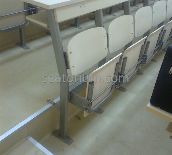 Bursa Uludağ University Amphi Desk & Chair Installation - Seatorium™'s Auditorium