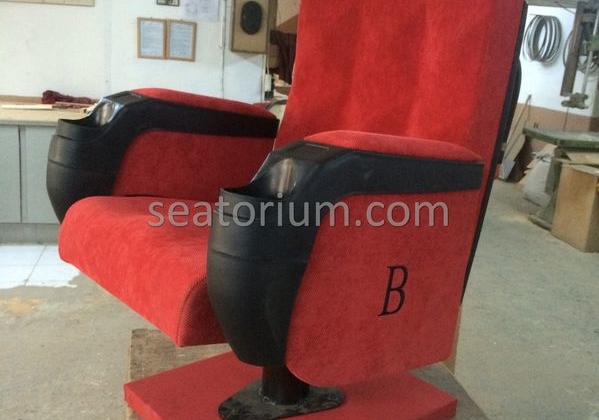 Canpark AVM Cinema & Theater Chair Installation - Seatorium™'s Auditorium
