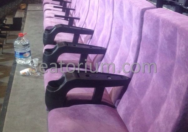 Canpark AVM Cinema & Theater Chair Installation - Seatorium™'s Auditorium