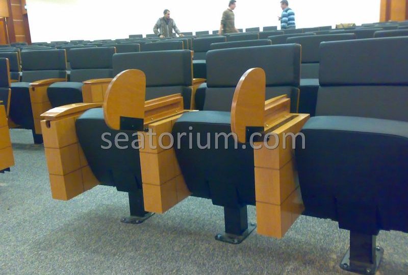 ISO Auditorium Chairs Project - Seatorium™'s Auditorium