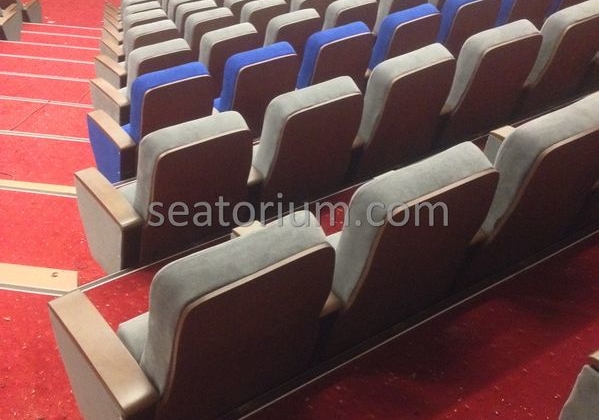 İstanbul Özyeğin University VIP Auditorium Chairs - Seatorium™'s Auditorium