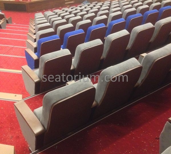 İstanbul Özyeğin University VIP Auditorium Chairs - Seatorium™'s Auditorium