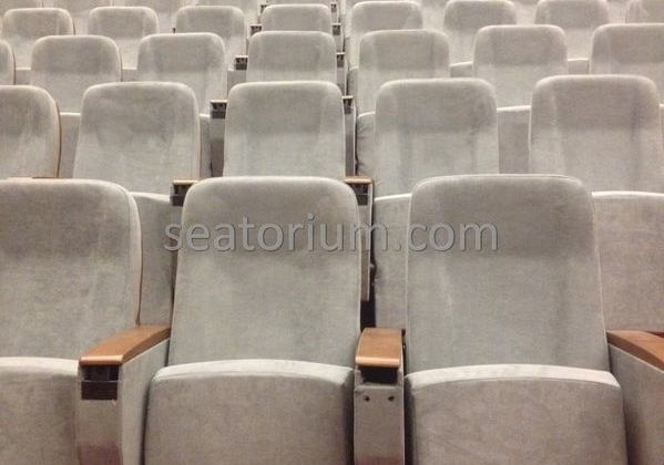İstanbul Özyeğin University VIP Auditorium Chairs - Seatorium™'s Auditorium