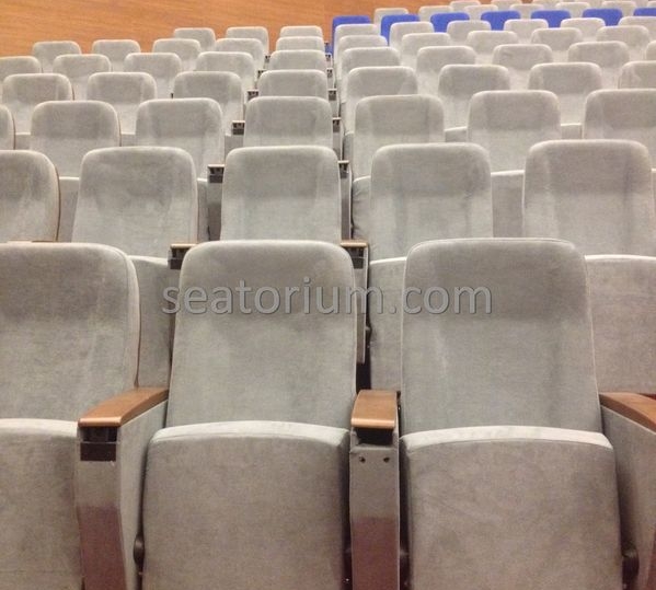 İstanbul Özyeğin University VIP Auditorium Chairs - Seatorium™'s Auditorium